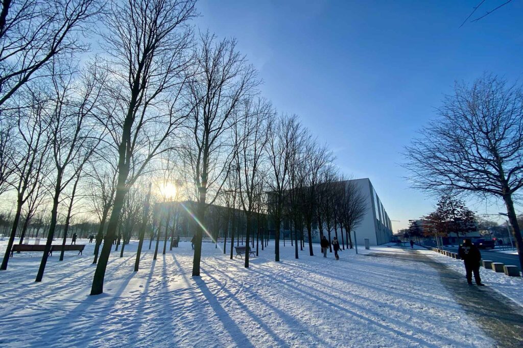 A range of leafless trees on a sunny winter day with clear sky, snow on the ground with a blocky, big modernist architecture building in the background, the sun is low and creates a lens flare